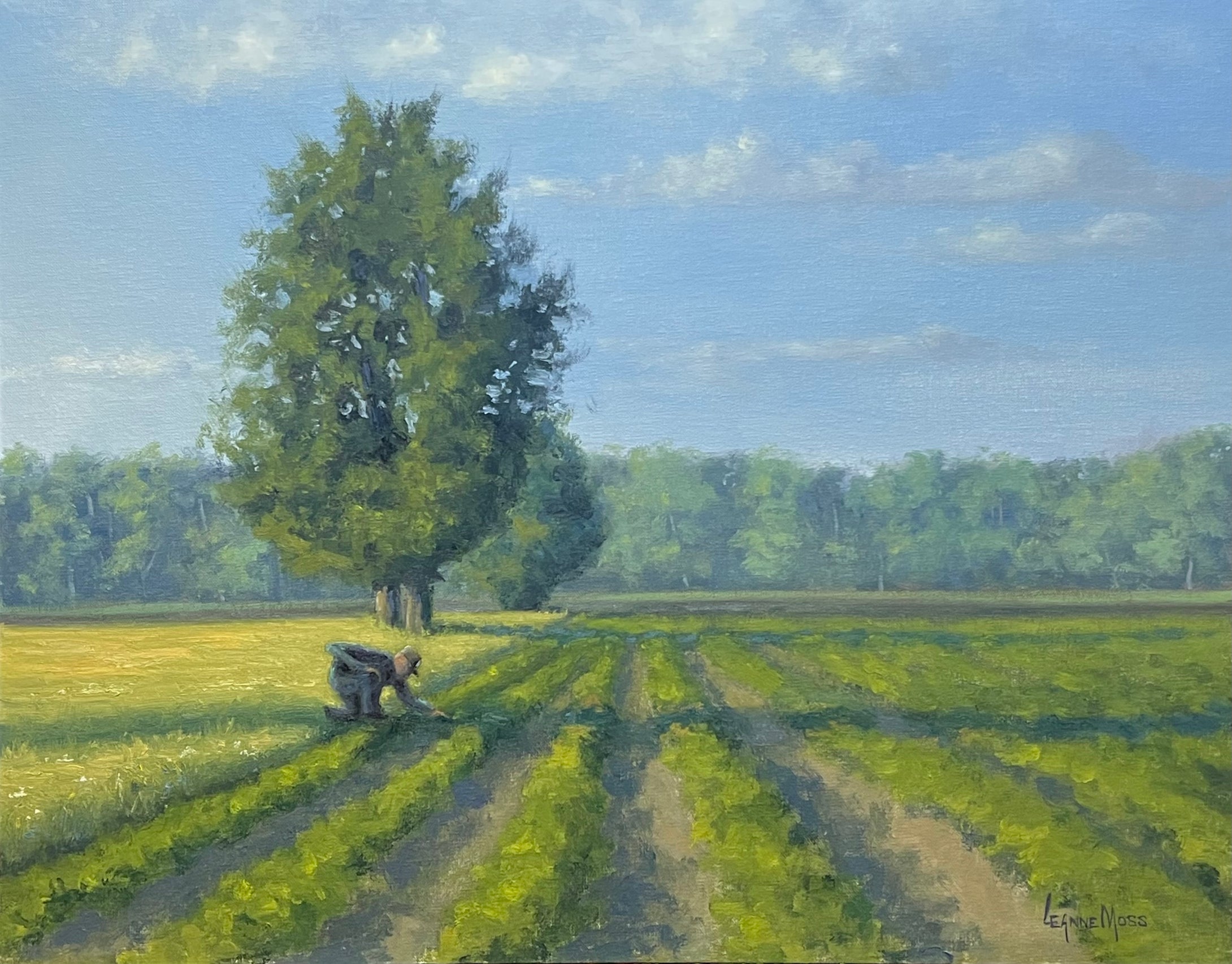 “Progress Report”