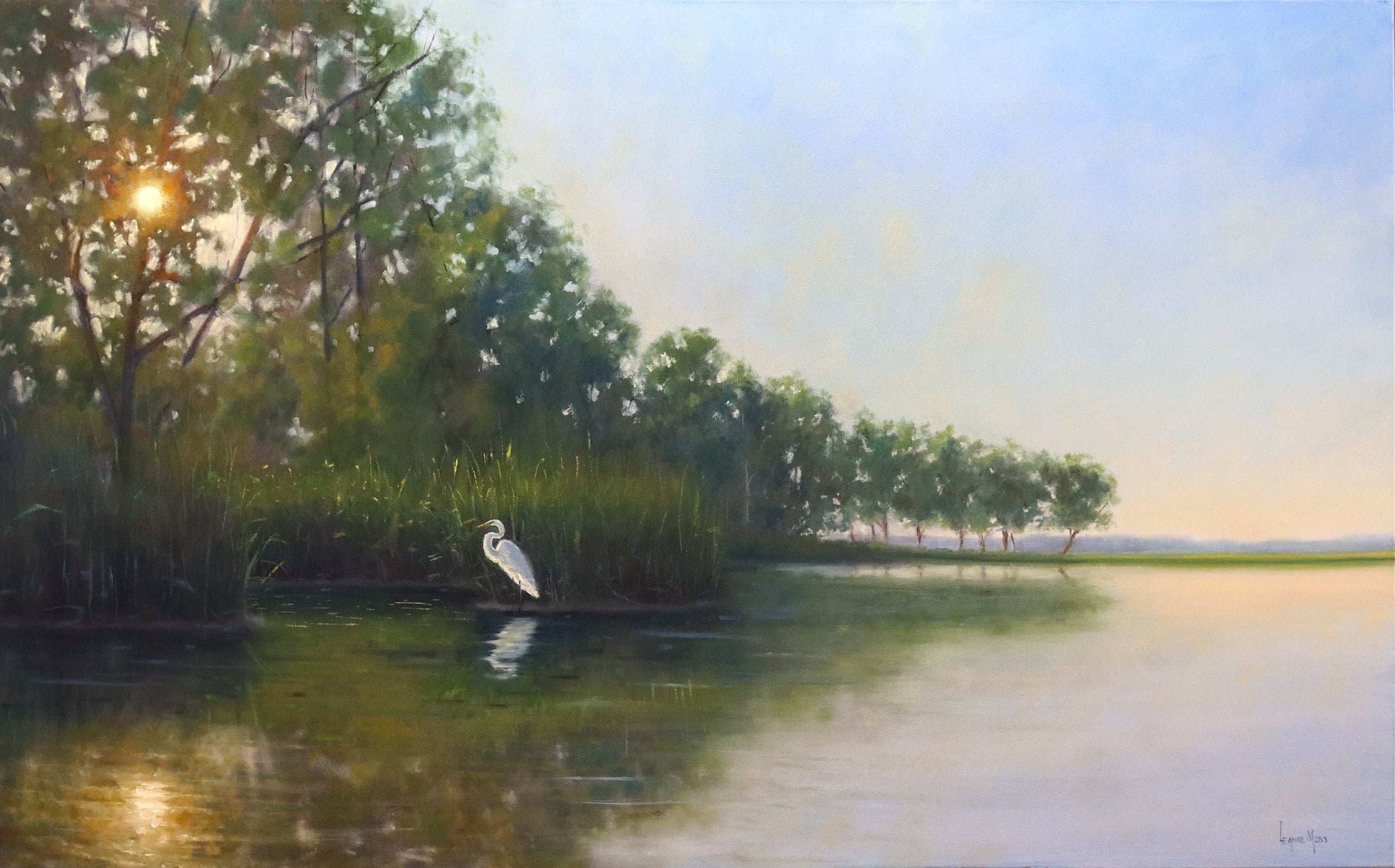 “Finding Sanctuary”