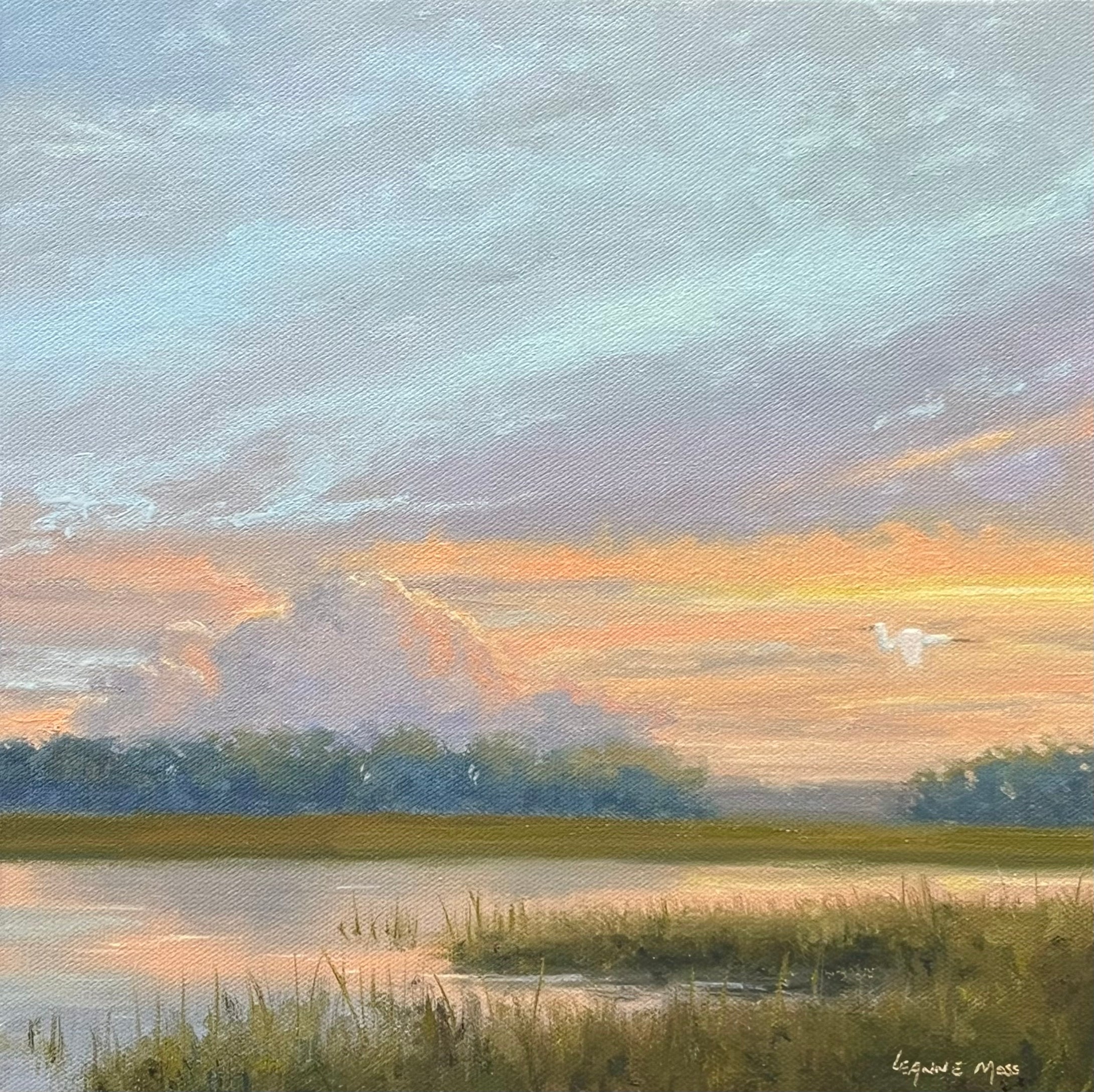 “Morning Glory”