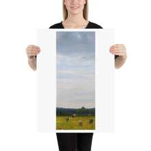 Load image into Gallery viewer, Grazing on Bowling Green-Print

