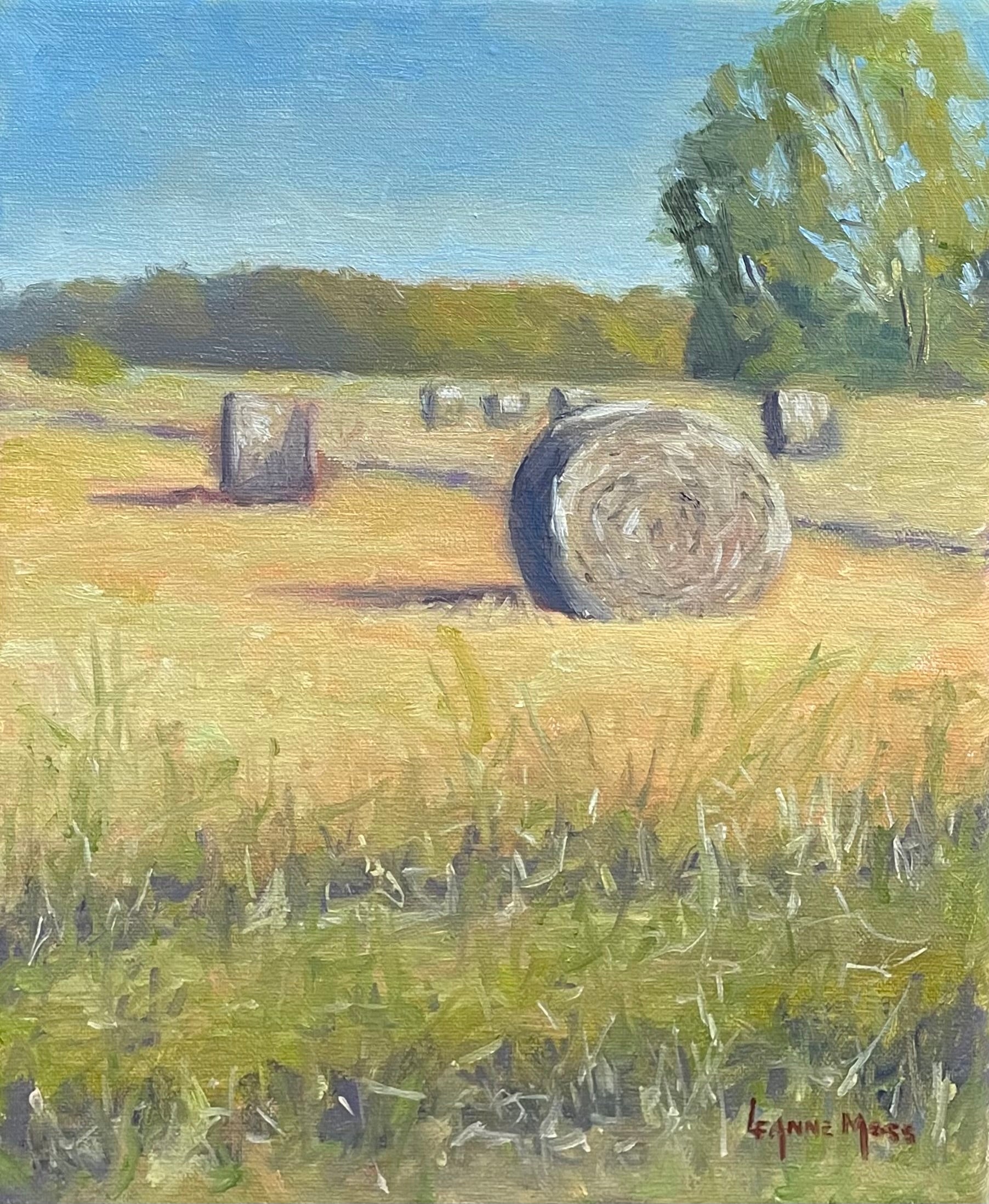 “Bales on Bowling Green”-Framed