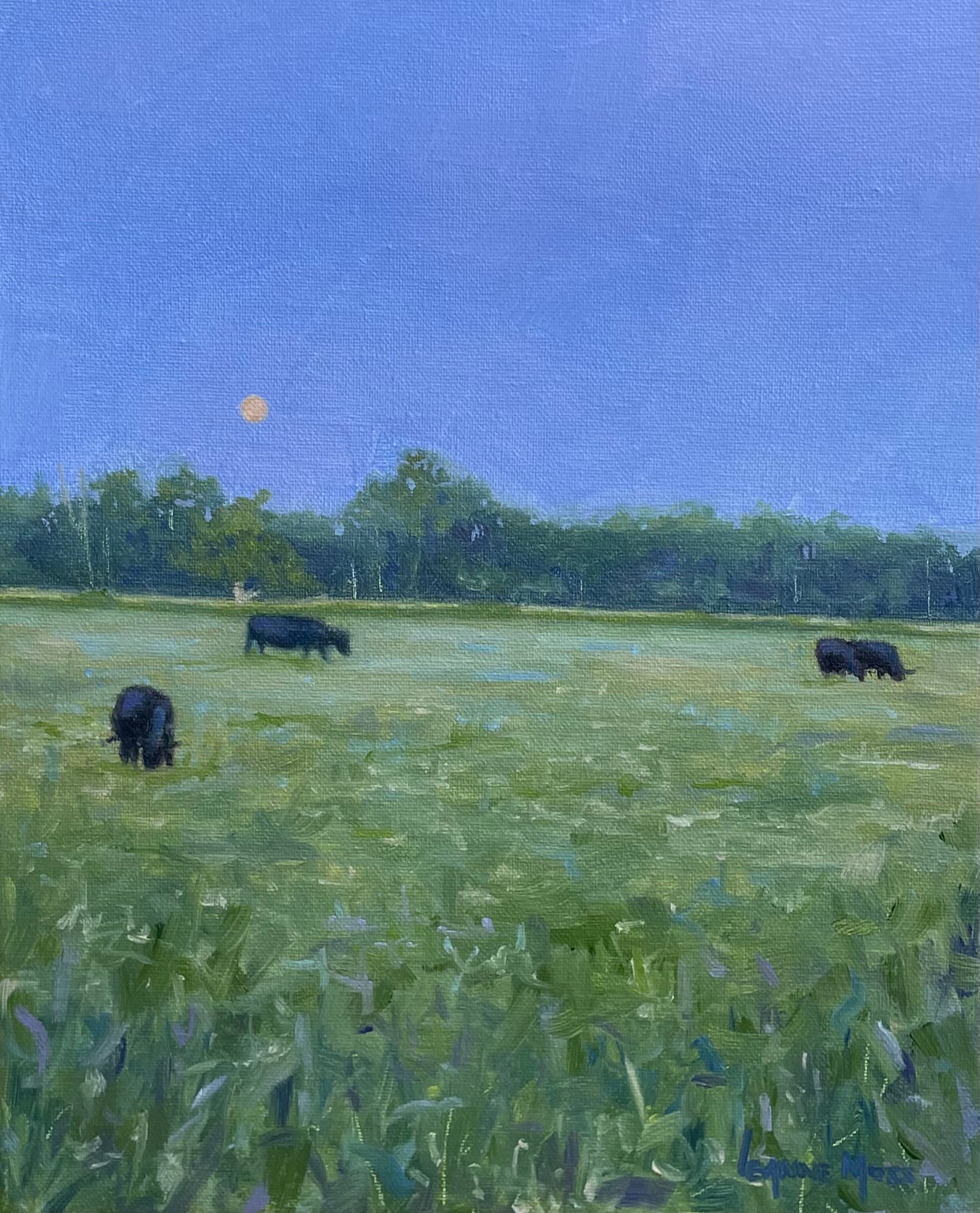 “Mooing by Moonlight”